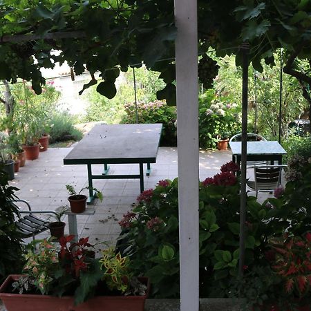 Villa Katarina Losinj Island マリ・ロシニュ エクステリア 写真