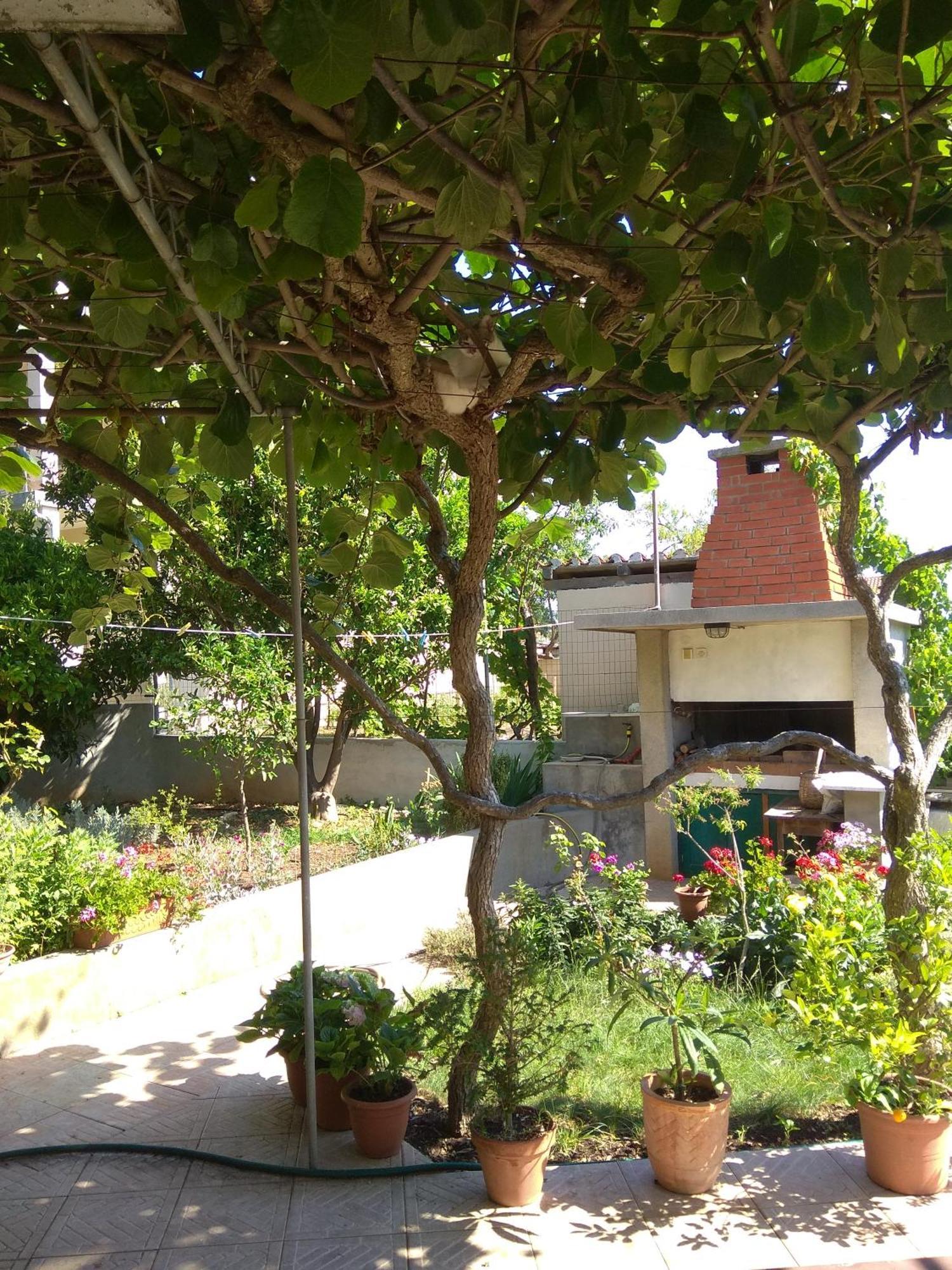 Villa Katarina Losinj Island マリ・ロシニュ エクステリア 写真
